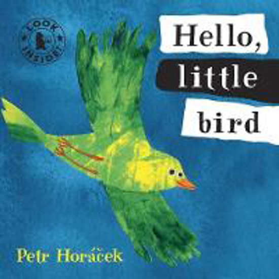 Picture of Hello, Little Bird