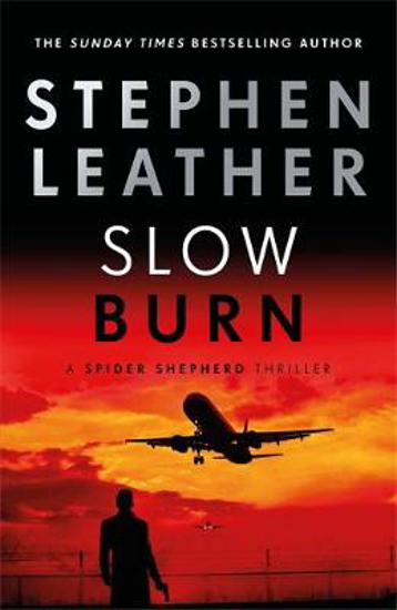 Picture of Slow Burn: The 17th Spider Shepherd Thriller