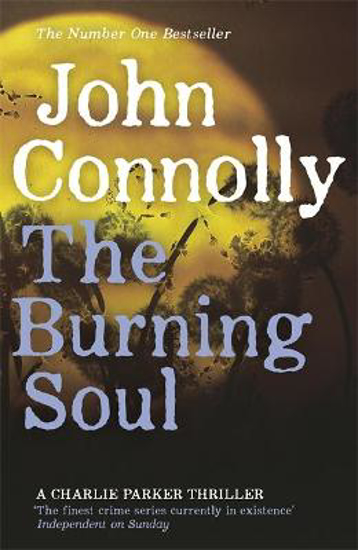 Picture of The Burning Soul: Private Investigator Charlie Parker hunts evil in the tenth book in the globally bestselling series