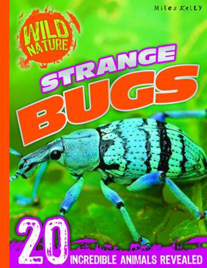 Picture of Wild Nature: Strange Bugs