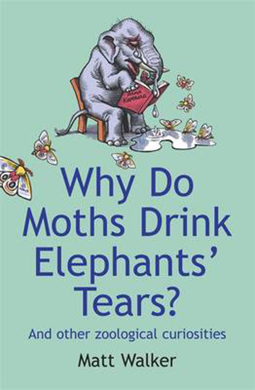 Westcountry Books. Why Do Moths Drink Elephants' Tears (Walker) PB