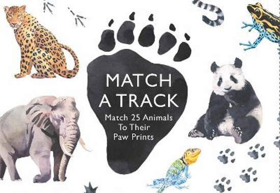 Picture of Match a Track: Match 25 Animals to Their Paw Prints