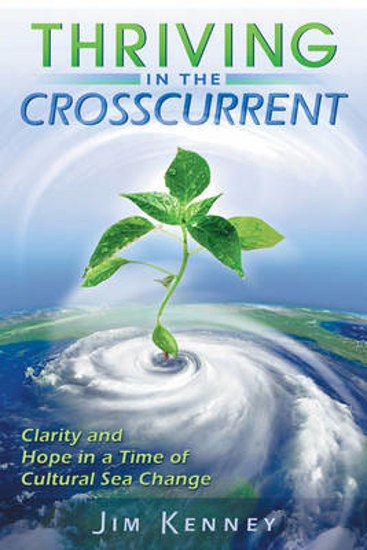 Picture of Thriving in the Crosscurrent: Clarity and Hope in a Time of Cultural Sea Change