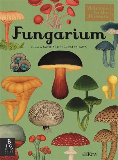 Picture of Welcome to the Museum: Fungarium