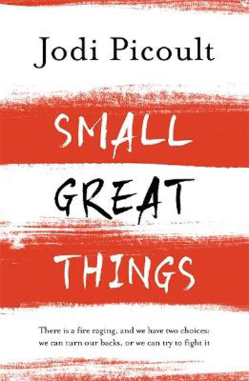 Picture of Small Great Things