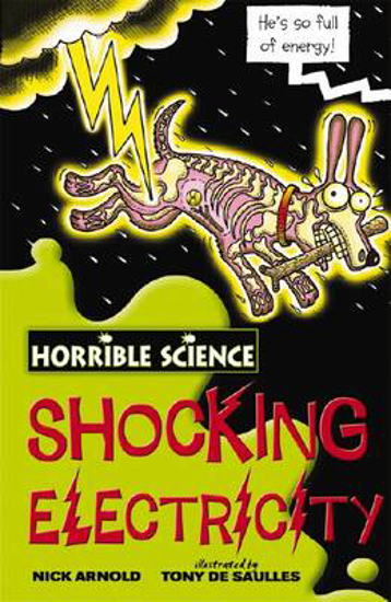 Picture of Horrible Science: Shocking Electricity