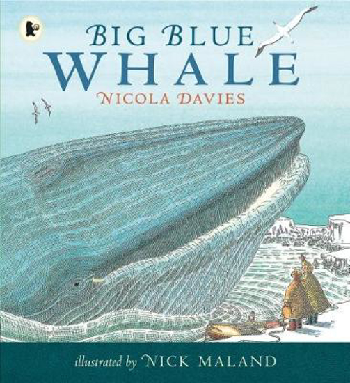 Picture of Big Blue Whale