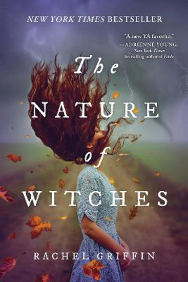 Picture of The Nature of Witches