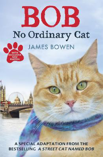 Picture of Bob: No Ordinary Cat