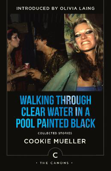 Picture of Walking Through Clear Water In a Pool Painted Black: Collected Stories