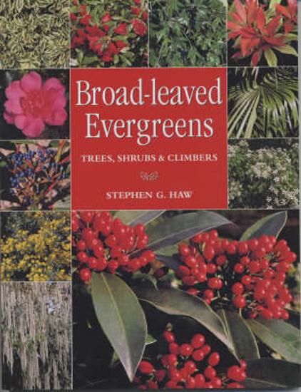 Picture of Broad-leaved Evergreens: Trees, Shrubs and Climbers