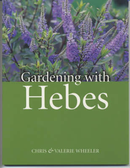 Picture of Gardening with Hebes