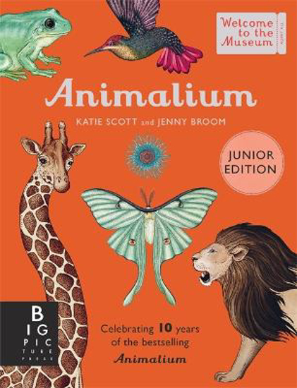 Picture of Animalium: Junior Edition