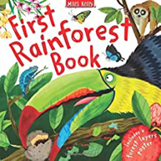 Picture of First Rainforest Book