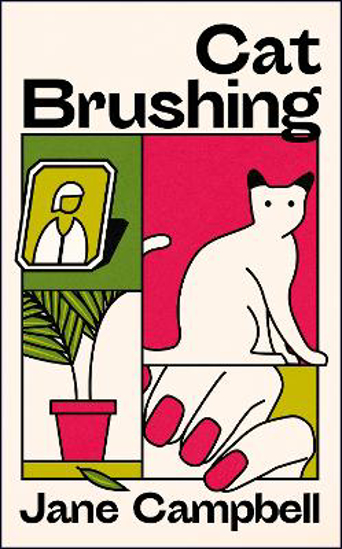 Picture of Cat Brushing