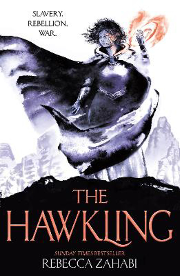 Picture of The Hawkling