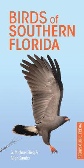 Picture of Birds Of Southern Florida