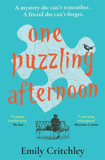 Picture of One Puzzling Afternoon (critchley) Pb