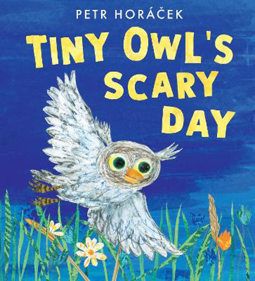 Picture of Tiny Owl's Scary Day