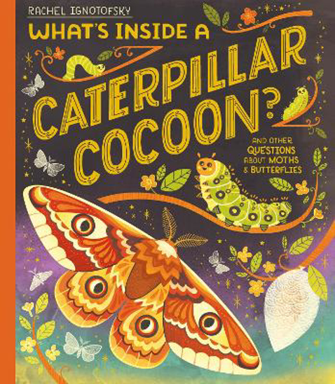 Picture of What's Inside a Caterpillar Cocoon?